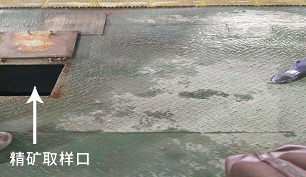 株洲日月科技設(shè)備有限公司,PLC系列數(shù)控型加藥機,管道往復式取樣機